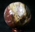 Colorful Petrified Wood Sphere #20613-2